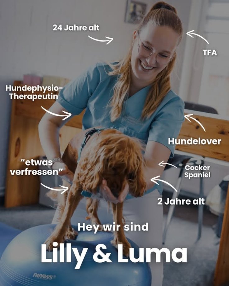 Lilly Worms bei der Hundephysiotherapie mit Cocker Spaniel Luma auf dem Balance-Ball